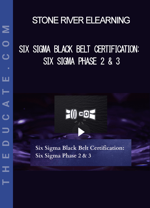 Stone River Elearning - Six Sigma Black Belt Certification: Six Sigma Phase 2 & 3